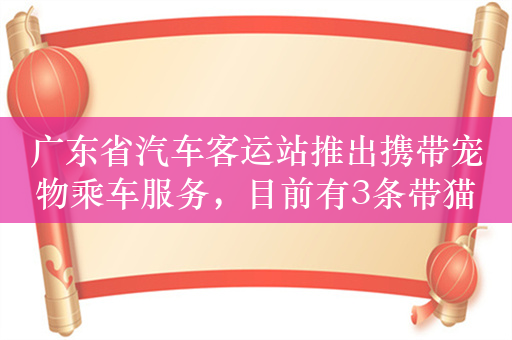 广东省汽车客运站推出携带宠物乘车服务，目前有3条带猫路线