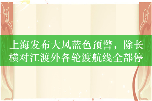 上海发布大风蓝色预警，除长横对江渡外各轮渡航线全部停航