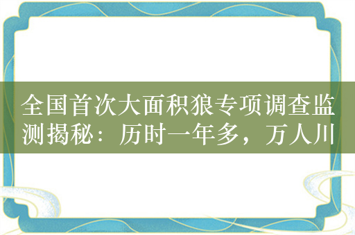 全国首次大面积狼专项调查监测揭秘：历时一年多，万人川西北寻狼