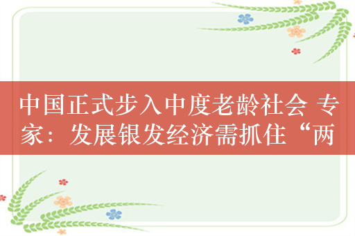 中国正式步入中度老龄社会 专家：发展银发经济需抓住“两大引擎”