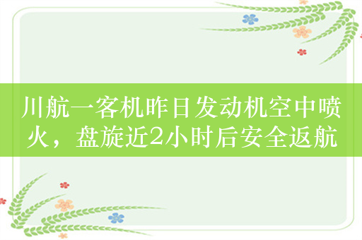 川航一客机昨日发动机空中喷火，盘旋近2小时后安全返航     业内：暂不好评价和分析