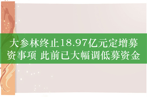 大参林终止18.97亿元定增募资事项 此前已大幅调低募资金额