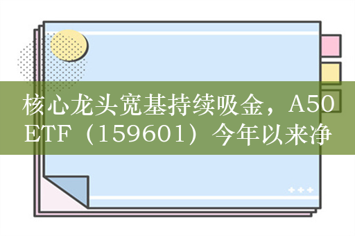 核心龙头宽基持续吸金，A50ETF（159601）今年以来净流入超1.3亿元