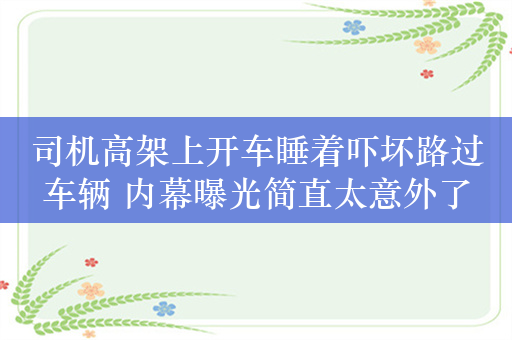 司机高架上开车睡着吓坏路过车辆 内幕曝光简直太意外了