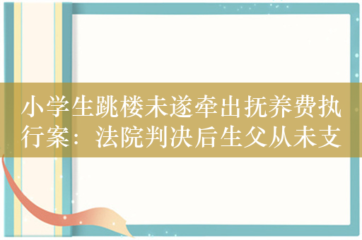 小学生跳楼未遂牵出抚养费执行案：法院判决后生父从未支付一分钱