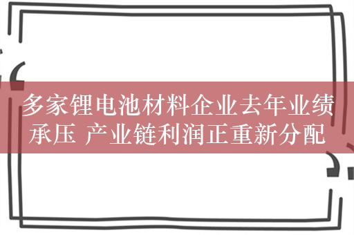 多家锂电池材料企业去年业绩承压 产业链利润正重新分配