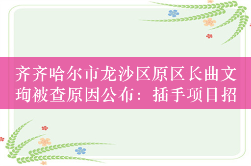 齐齐哈尔市龙沙区原区长曲文珣被查原因公布：插手项目招投标并涉嫌受贿