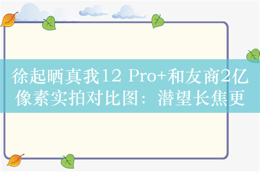 徐起晒真我12 Pro+和友商2亿像素实拍对比图：潜望长焦更远更清晰