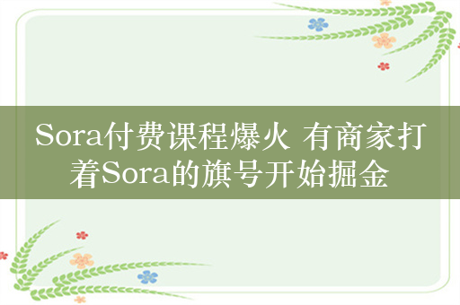 Sora付费课程爆火 有商家打着Sora的旗号开始掘金