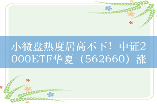 小微盘热度居高不下！中证2000ETF华夏（562660）涨超1.3%