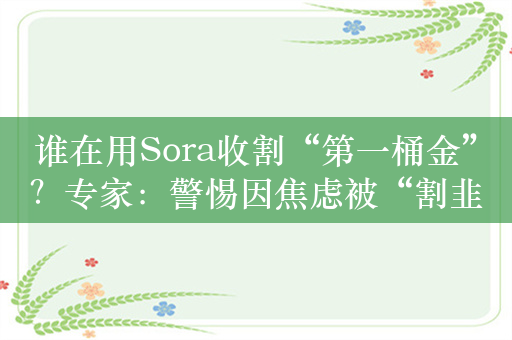 谁在用Sora收割“第一桶金”？专家：警惕因焦虑被“割韭菜”