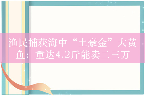 渔民捕获海中“土豪金”大黄鱼：重达4.2斤能卖二三万