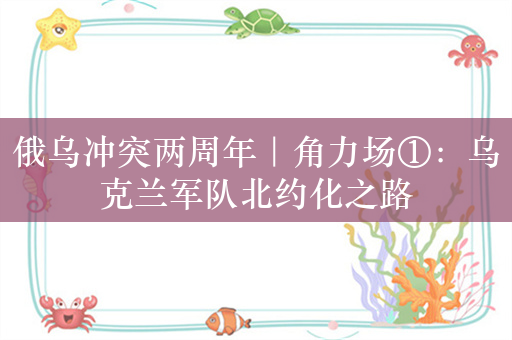 俄乌冲突两周年｜角力场①：乌克兰军队北约化之路