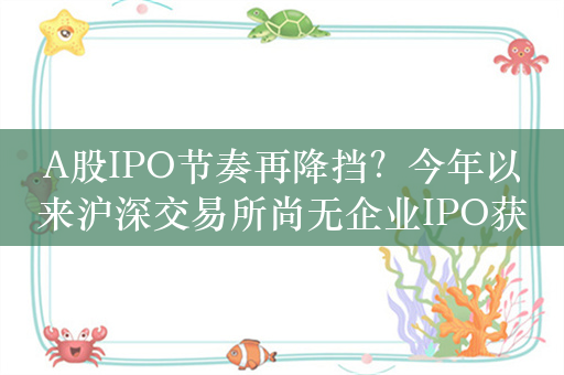 A股IPO节奏再降挡？今年以来沪深交易所尚无企业IPO获受理