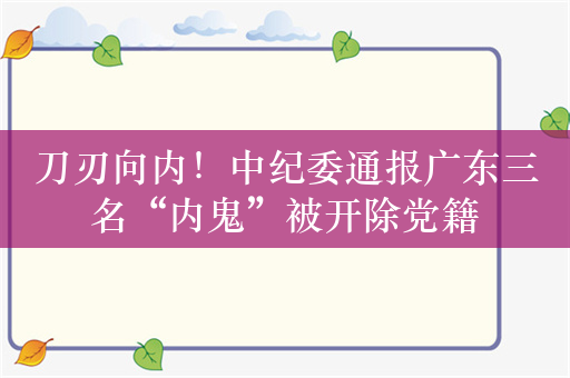 刀刃向内！中纪委通报广东三名“内鬼”被开除党籍