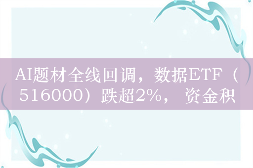 AI题材全线回调，数据ETF（516000）跌超2%， 资金积极布局