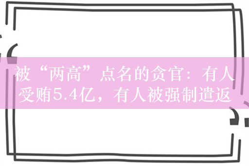 被“两高”点名的贪官：有人受贿5.4亿，有人被强制遣返回国