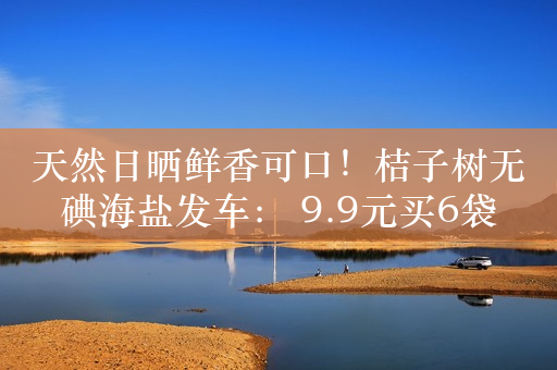 天然日晒鲜香可口！桔子树无碘海盐发车： 9.9元买6袋