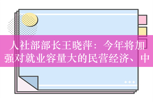 人社部部长王晓萍：今年将加强对就业容量大的民营经济、中小微企业支持