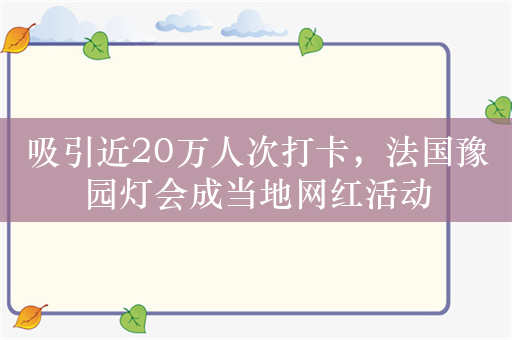 吸引近20万人次打卡，法国豫园灯会成当地网红活动