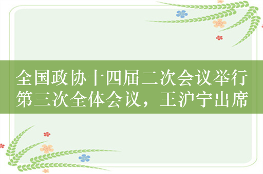 全国政协十四届二次会议举行第三次全体会议，王沪宁出席