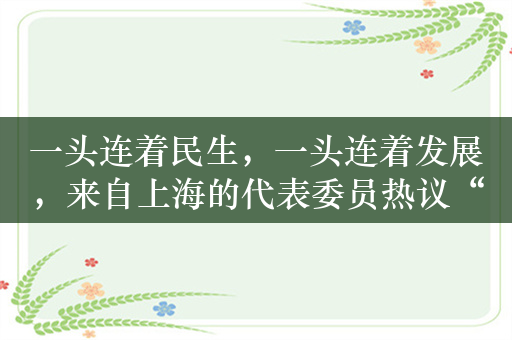 一头连着民生，一头连着发展，来自上海的代表委员热议“城市更新”