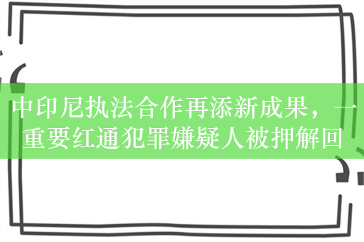 中印尼执法合作再添新成果，一重要红通犯罪嫌疑人被押解回国