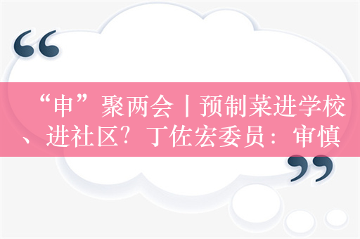 “申”聚两会丨预制菜进学校、进社区？丁佐宏委员：审慎推行