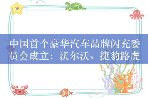 中国首个豪华汽车品牌闪充委员会成立：沃尔沃、捷豹路虎等四家参与