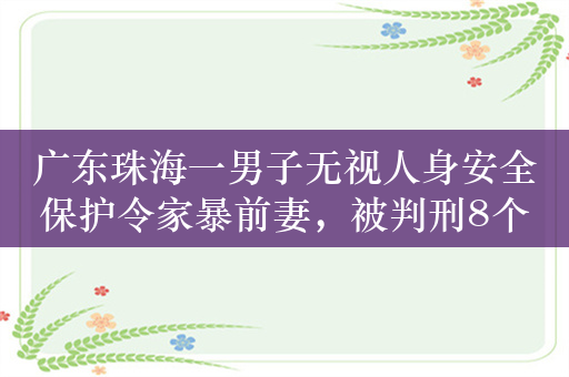 广东珠海一男子无视人身安全保护令家暴前妻，被判刑8个月