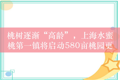 桃树逐渐“高龄”，上海水蜜桃第一镇将启动580亩桃园更新