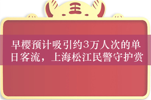 早樱预计吸引约3万人次的单日客流，上海松江民警守护赏樱游