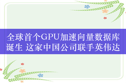 全球首个GPU加速向量数据库诞生 这家中国公司联手英伟达推出