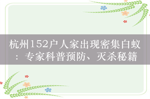 杭州152户人家出现密集白蚁：专家科普预防、灭杀秘籍