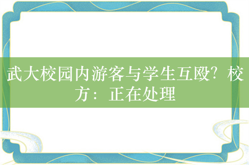 武大校园内游客与学生互殴？校方：正在处理