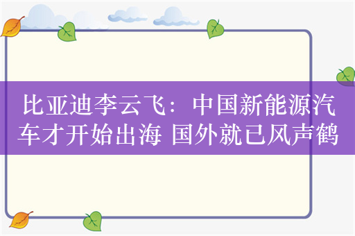 比亚迪李云飞：中国新能源汽车才开始出海 国外就已风声鹤唳