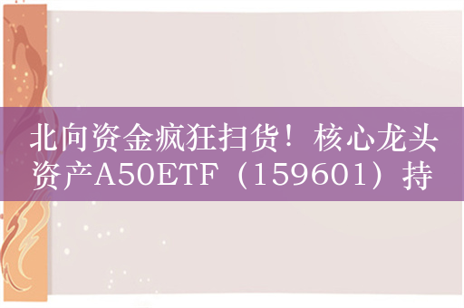 北向资金疯狂扫货！核心龙头资产A50ETF（159601）持续获益，溢价频现