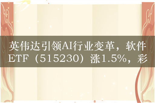 英伟达引领AI行业变革，软件ETF（515230）涨1.5%，彩讯股份涨7.9%