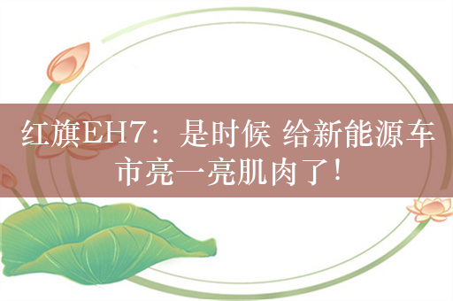 红旗EH7：是时候 给新能源车市亮一亮肌肉了！