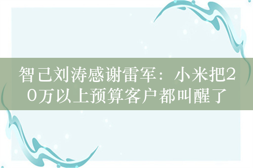 智己刘涛感谢雷军：小米把20万以上预算客户都叫醒了