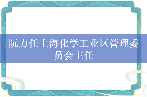 阮力任上海化学工业区管理委员会主任