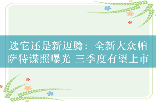 选它还是新迈腾：全新大众帕萨特谍照曝光 三季度有望上市