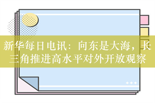 新华每日电讯：向东是大海，长三角推进高水平对外开放观察