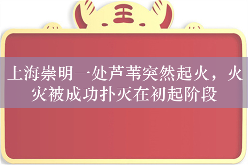 上海崇明一处芦苇突然起火，火灾被成功扑灭在初起阶段