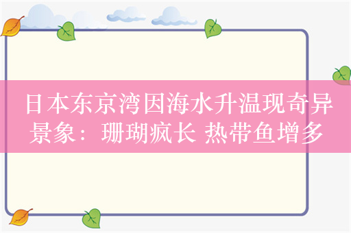 日本东京湾因海水升温现奇异景象：珊瑚疯长 热带鱼增多