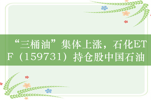 “三桶油”集体上涨，石化ETF（159731）持仓股中国石油涨超2%