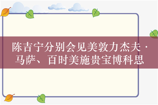 陈吉宁分别会见美敦力杰夫·马萨、百时美施贵宝博科思