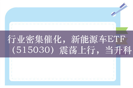 行业密集催化，新能源车ETF（515030）震荡上行，当升科技涨超7%