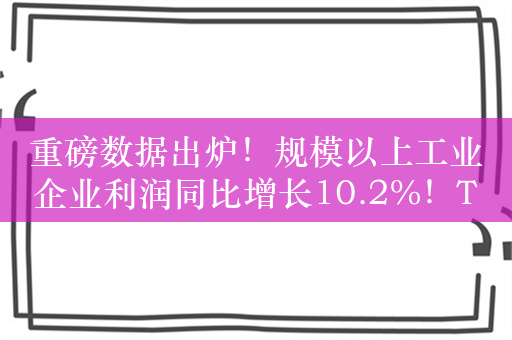 重磅数据出炉！规模以上工业企业利润同比增长10.2%！TMT表现抢眼