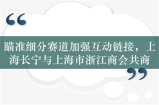 瞄准细分赛道加强互动链接，上海长宁与上海市浙江商会共商共谈